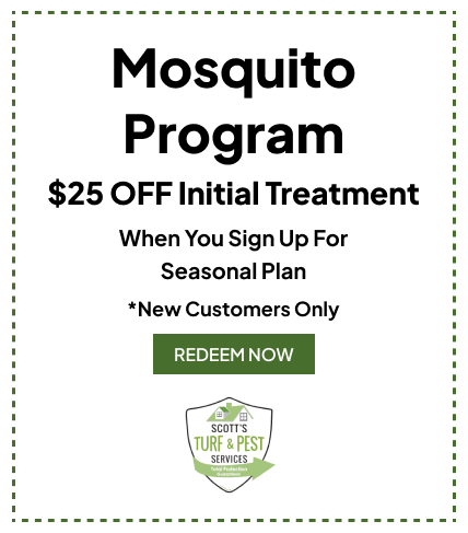 Mosquito Program